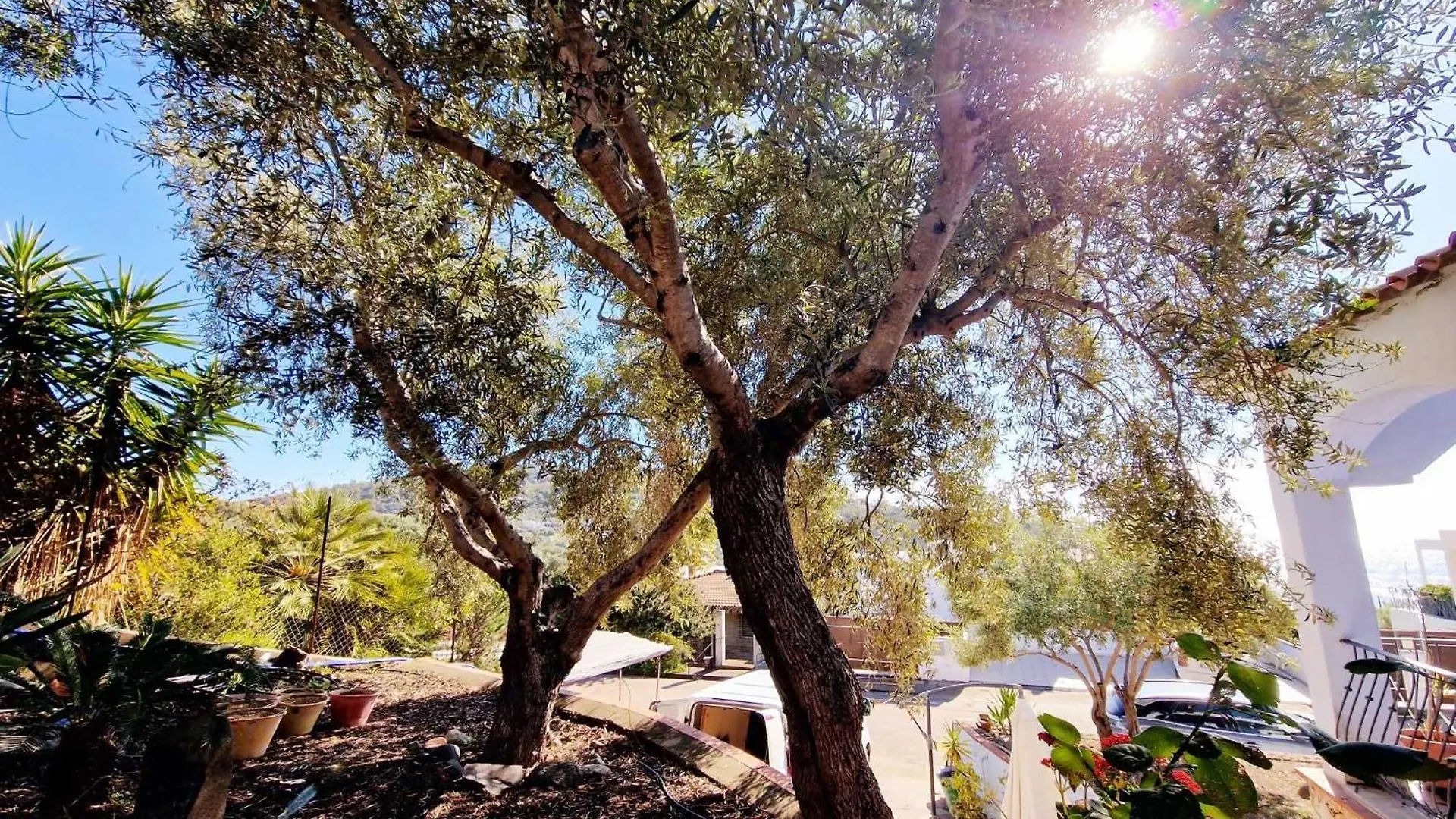 ארבאטקס Alisei Villa איטליה